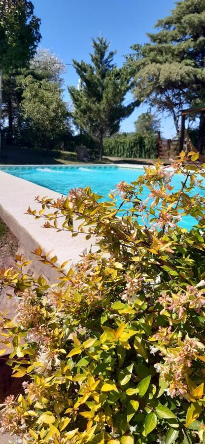 Cabanas Farah Estancia Vieja Ideal Para 2 A 3 Huespedes Villa Carlos Paz Buitenkant foto